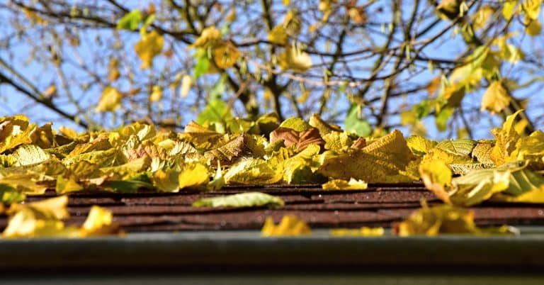 Nettoyer sa toiture à l'automne