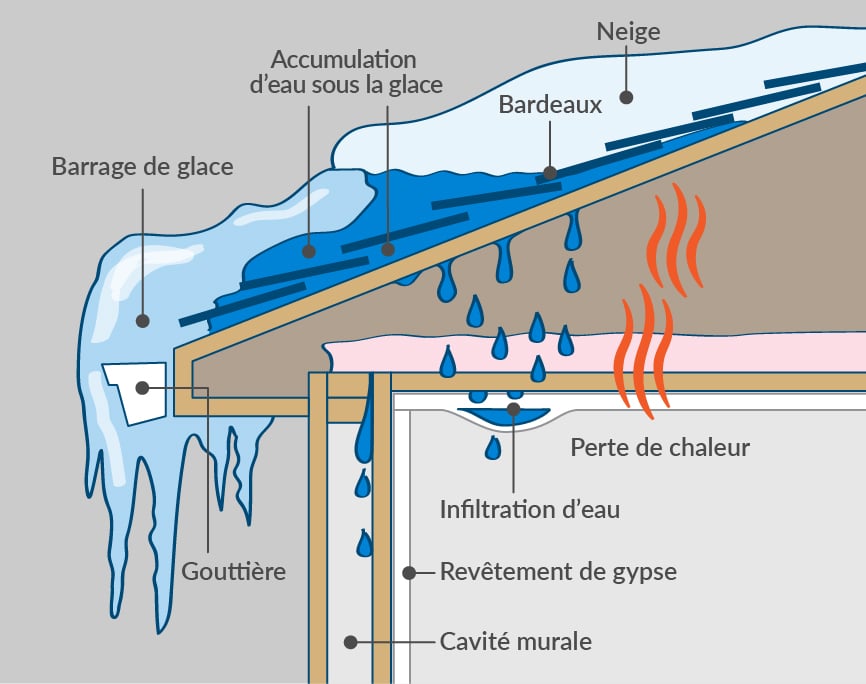 Illustration of the cause of an ice dam on the roofs